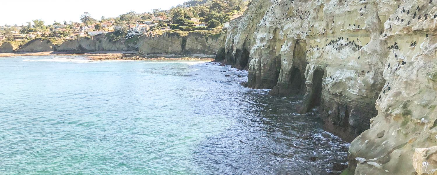 Scuba diving in San Diego near La Jolla cliffs.