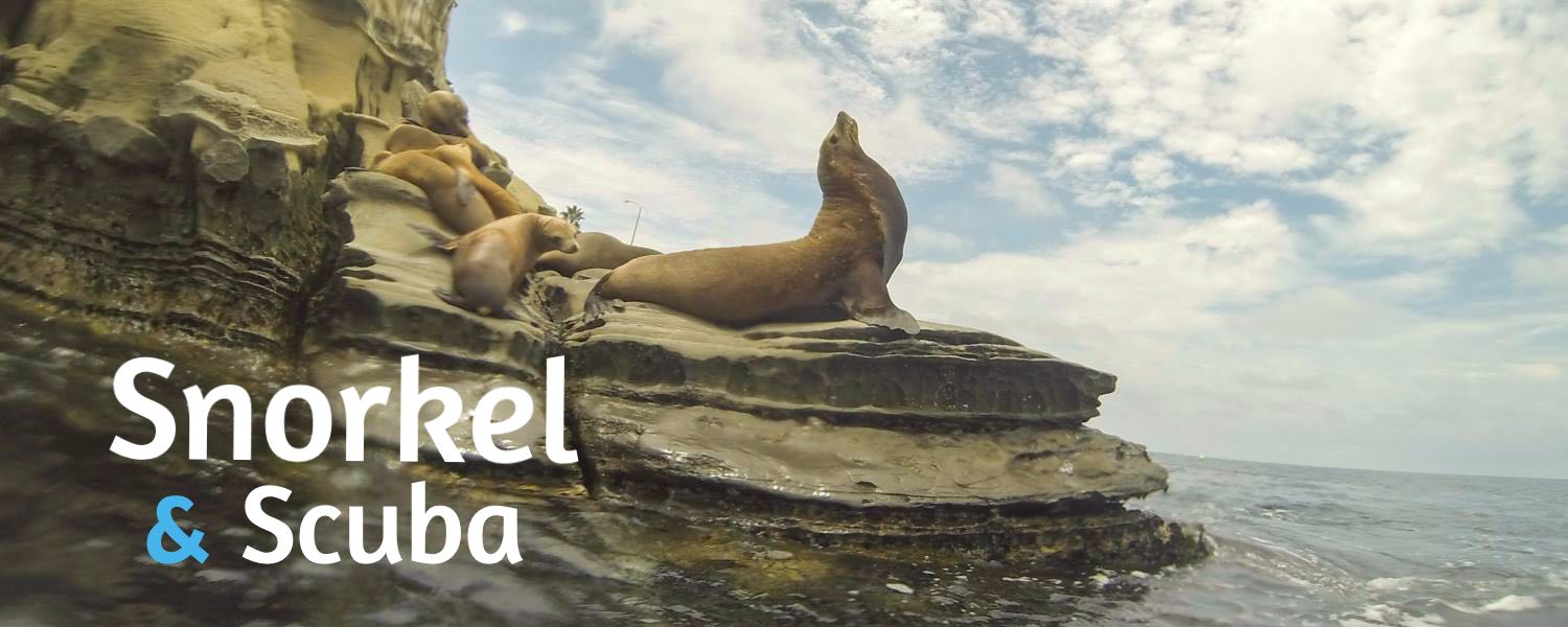 Snorkeling in San Diego.