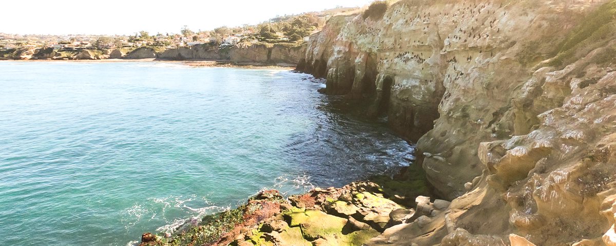 Sandstone cliffs above snorkel site.